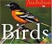 Audubon 365 Birds Page-A-Day Calendar 2007