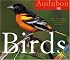 Audubon 365 Birds Page-A-Day Calendar 2007