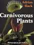 Carnivorous Plants