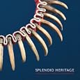 Splendid Heritage: Perspectives on American Indian Arts
