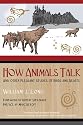 How Animals Talk: And Other Pleasant Studies of Birds and Beasts