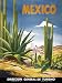 Cacti, Mexico by Anonymous - 24 3/8 x 18 inches - Fine Art Print / Poster