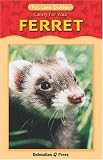 Ferret Pet Guide (Reference/Guides)