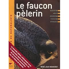 Le faucon p�lerin