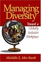Managing Diversity: Toward a Globally Inclusive Workplace