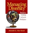 Managing Diversity: Toward a Globally Inclusive Workplace