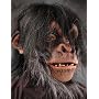 Action Chimp Deluxe Mask Adult