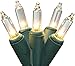 Novelty Lights 11 Feet 50 Bulbs Traditional Incandescent Mini Lights, Clear on Green Wire with 2.5