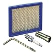 Generac Portable Products 1326  Large Block Tune-up Kit