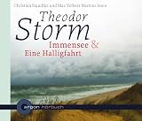 Immensee / Eine Halligfahrt, 2 Audio-CDs - Theodor Storm, Christian Standtke, Max V. Martens