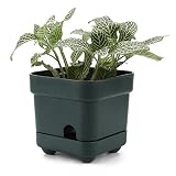 T4U 10CM プラスチック植木鉢 自己給水機能 スクエア 多肉植物 サボテン鉢 フラワーポット プランター容器 Sサイズ 深緑