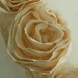 Cream: Fabric Ribbon Trimmings from Neotrims; Rose Shape Trimming made of Soft Chiffon Fabric on Net base; a continuous trims sold here as 2 meters pack, Great Decoration for Sewing, wedding dress or Cocktail, or Interior Design Ideas. 12 Superb Colours to Choose from.