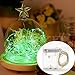 BINZET 10ft 30 LEDs Green Starry Starry Light String Light 3xAA Battery Powered Flexible Indoor String Lights Wedding Party Light