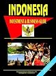 Indonesia Investment and Business Guide