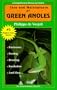 The General Care and Maintenance of Green Anoles (General Care and Maintenance of Series)