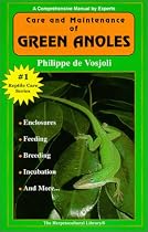 The General Care and Maintenance of Green Anoles (General Care and Maintenance of Series)
