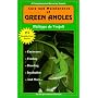 The General Care and Maintenance of Green Anoles (General Care and Maintenance of Series)