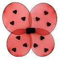 Ladybug Wings