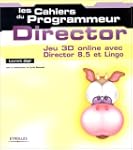 Director : Jeu 3D online avec Directo...