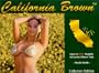 california brown