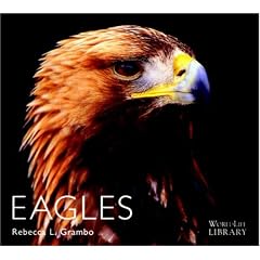 Eagles