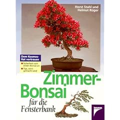 Zimmer-Bonsai f�r die Fensterbank