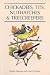 Chickadees, Tits, Nuthatches, and Treecreepers