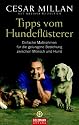 Tipps vom Hundefl&uuml;sterer: Einfache Ma&szlig;nahmen f&uuml;r die gelungene Beziehung zwischen Mensch und Hund