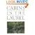 Cabins in the Laurel