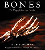 Bones: The Unity of Form and Function