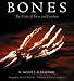 Bones: The Unity of Form and Function