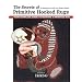 The Secrets of Primitive Hooked Rugs: Your Complete Guide to Hooking a Primitive Rug