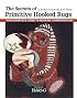 The Secrets of Primitive Hooked Rugs: Your Complete Guide to Hooking a Primitive Rug