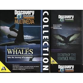 Discovery Channel Whales CD-Rom & Humpback Whales Video