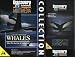 Software : Discovery Channel Whales CD-Rom & Humpback Whales Video