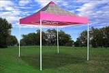 10x10 Pop up 4 Wall Canopy Party Tent Gazebo Ez Zebra/pink 2