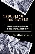 Troubling the Waters: Black-Jewish Relations in the American Century (Politics and Society in Twentieth Century America)