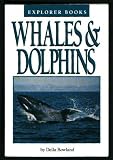 Whales & dolphins (Explorer books)