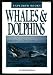Whales & dolphins (Explorer books)