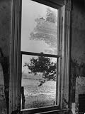 The High Water Mark from a 1945 Flood Showing on the Upper Pane of a Farmhouse Window Photographic Poster Print by Hans Wild, 12x16