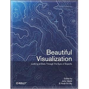 Beautiful Visualization: Looking at Data through the Eyes of Experts by Julie Steele and Noah Iliinsky