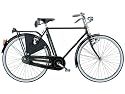 Bianchi Viaggio Smeraldo Herren (2009) (Rahmengr&ouml;sse: 55 cm) Hollandrad Cityrad Stadtrad City Fahrrad Fahrr&auml;der