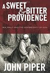 A sweet and bitter providence : sex, race, and sovereignty in the book of Ruth