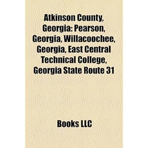 atkinson countygeorgiapearsongeorgiawillacoocheegeorgiaeast central technical