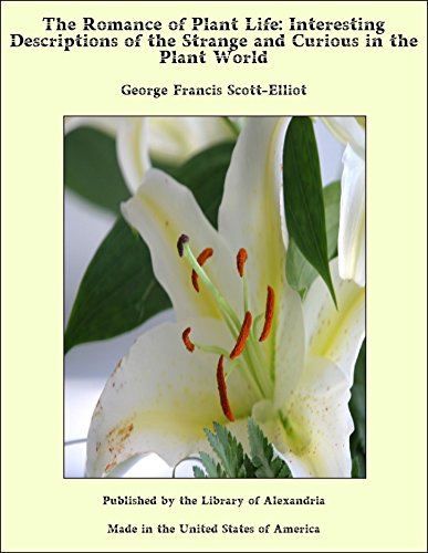 The Romance of Plant Life: Interesting Descriptions of the Strange and Curious in the Plant World