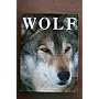 Wolf by Maureen Greeley