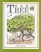 Houghton Mifflin/Walter Lorraine Books