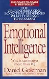 Emotional Intelligence