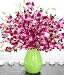 Proflowers