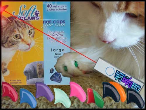 Soft Claws for Cats MEDIUM RED Color And Laser Cat Toy